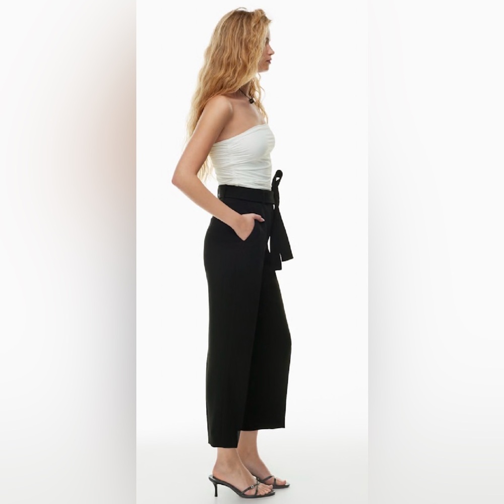 Wilfred (Aritzia) $148 Tie-Front Ankle Pant in Comet Grey Size 6 w/ belt EUC - Picture 3 of 16